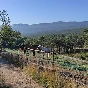 Avec Terrasse Dans Un Domaine Agricole Maison d'hôtes